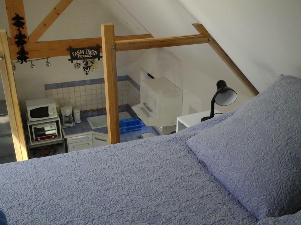Villa Les Hauts de Kerdrein à Saint-Jean-du-Doigt Extérieur photo